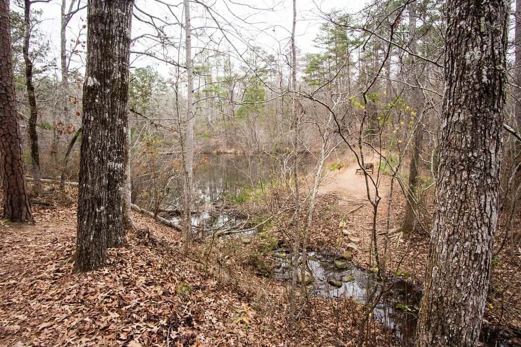 Louise Kreher Forest Ecology Preserve & Nature Center