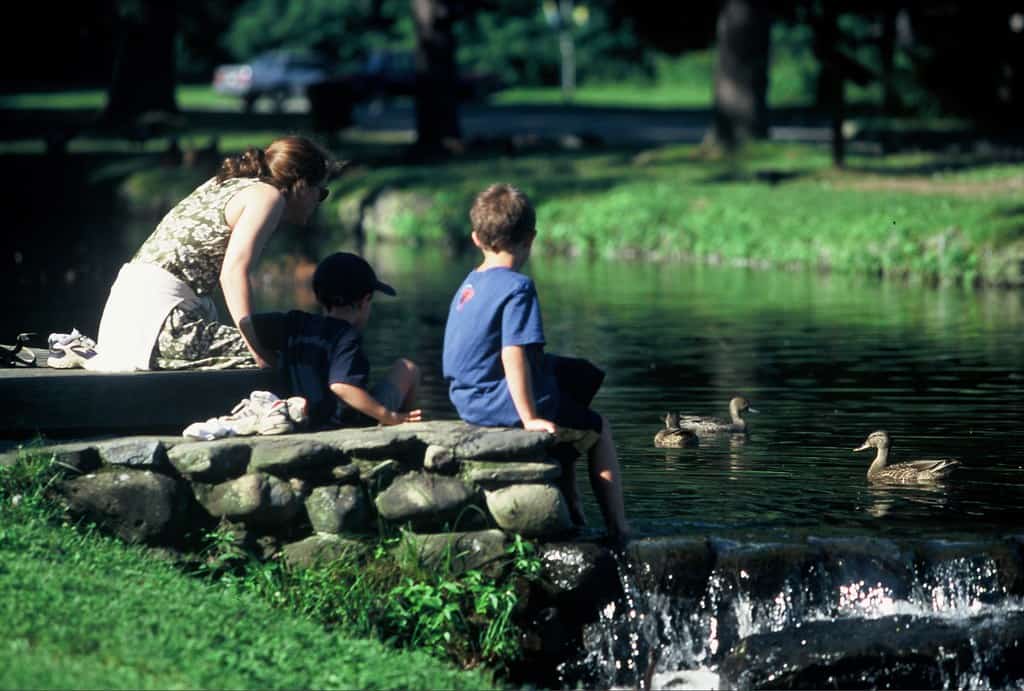 Frank Newhall Look Memorial Park