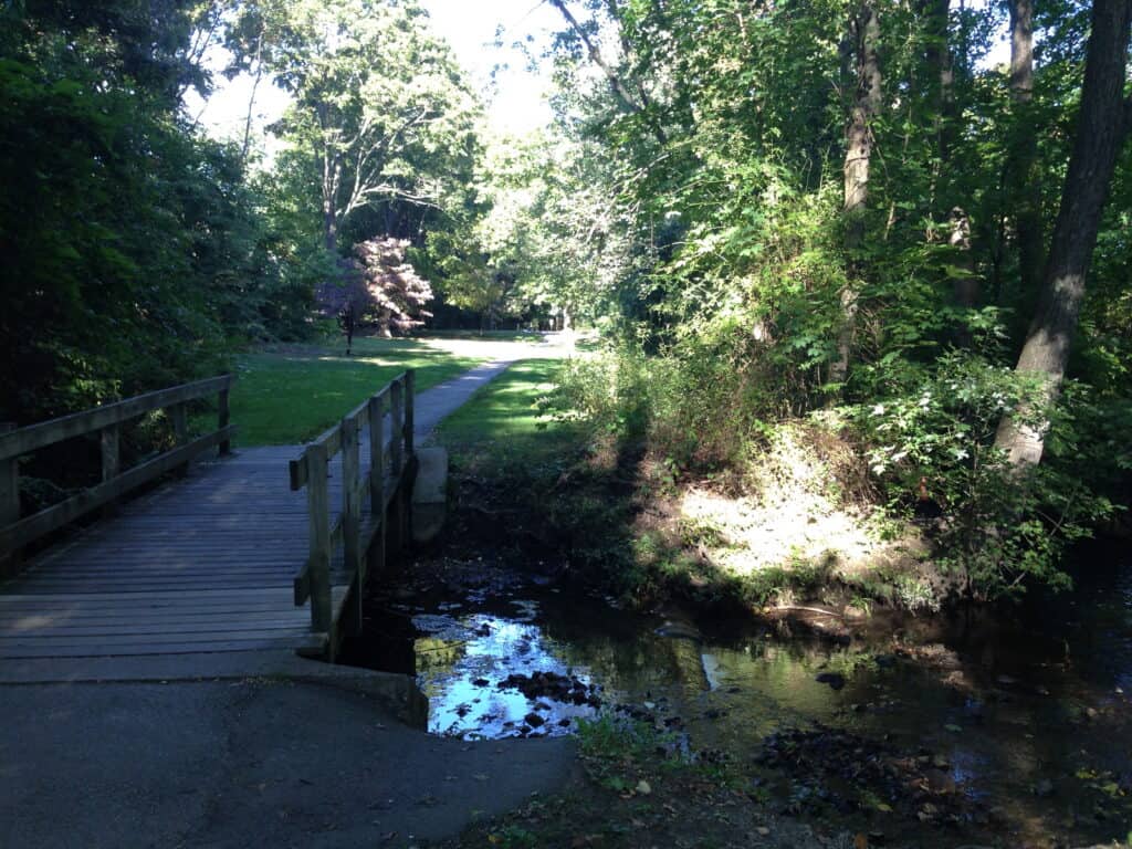 Brook Path (Fuller Brook Park)