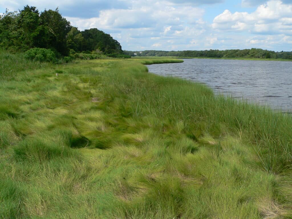 Slocum’s River Reserve