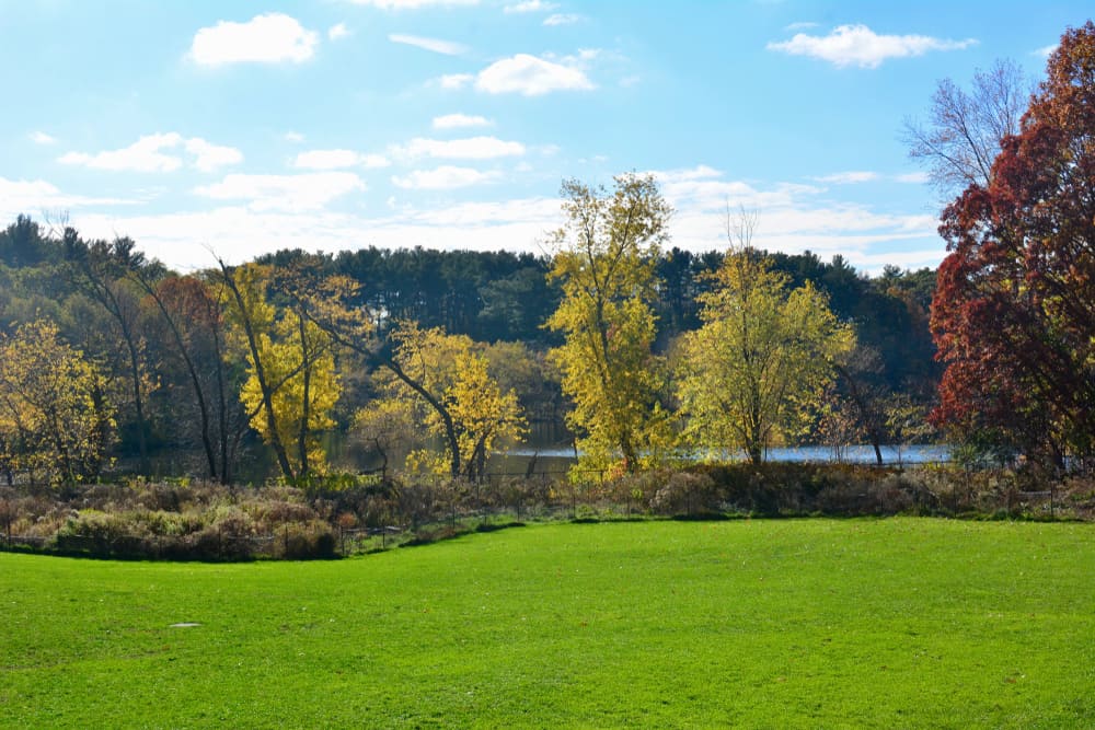 Fresh Pond Reservation