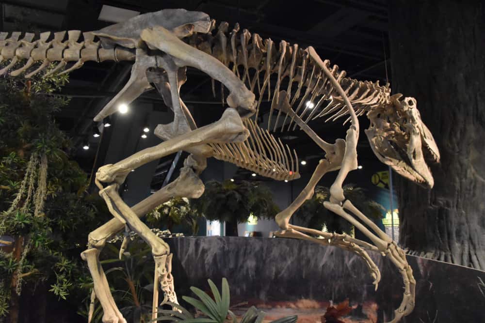 McWane Science Center