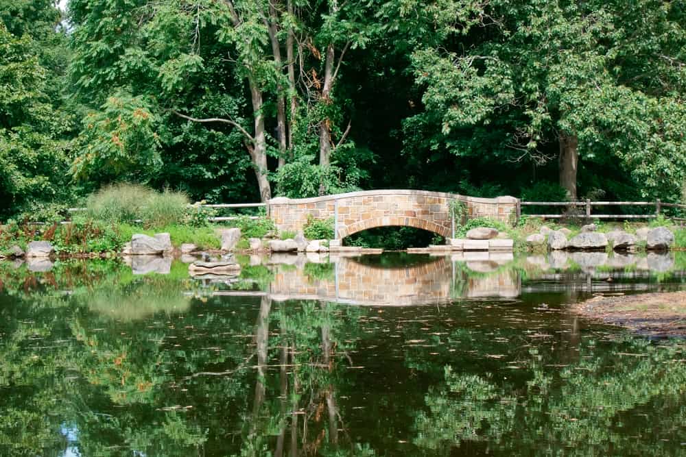 Francis William Bird Park