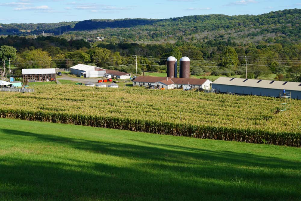 Howell Living History Farm