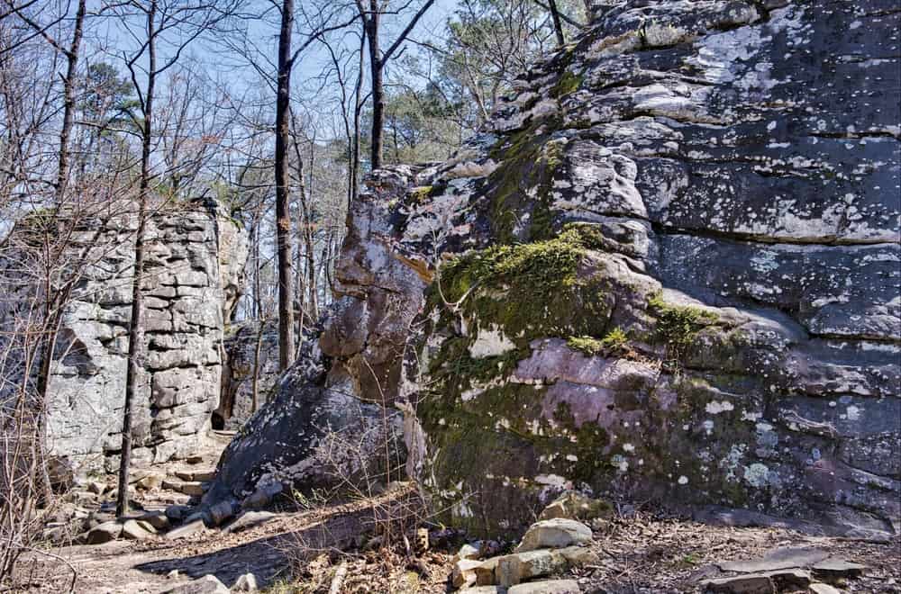 Moss Rock Preserve