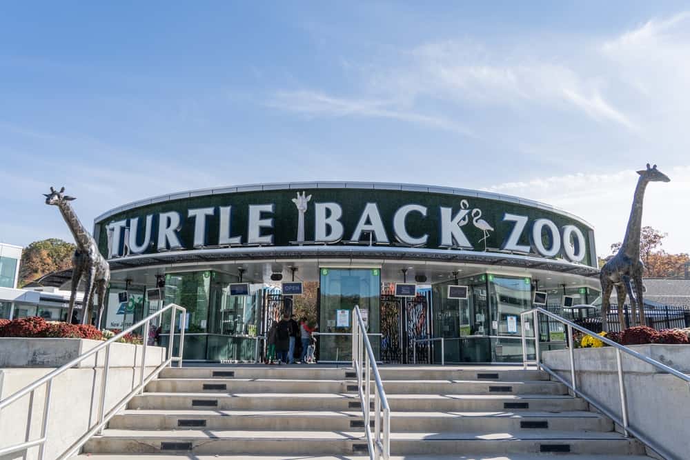 Turtle Back Zoo