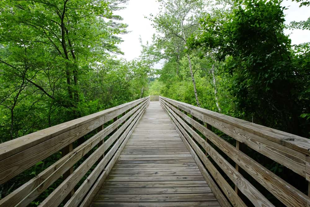 Stony Brook Wildlife Sanctuary