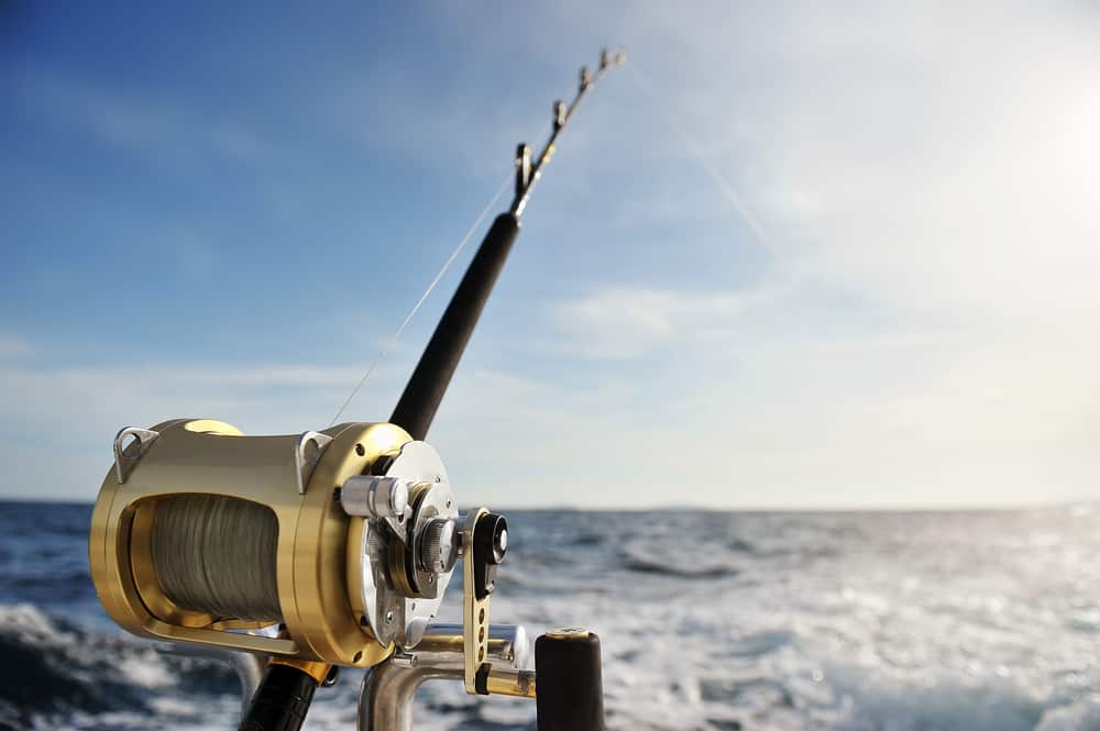 Fishing Charter