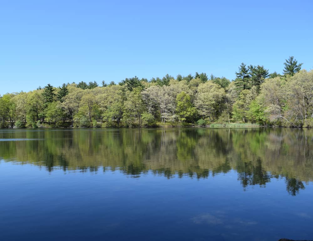 Houghton’s Pond