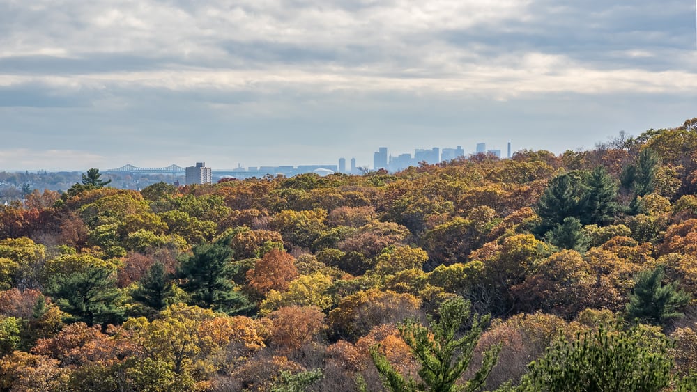 View of the Boston Skyline from Middlesex Fells