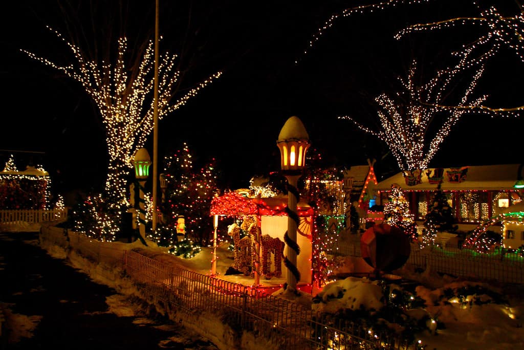 ZooLights Stoneham