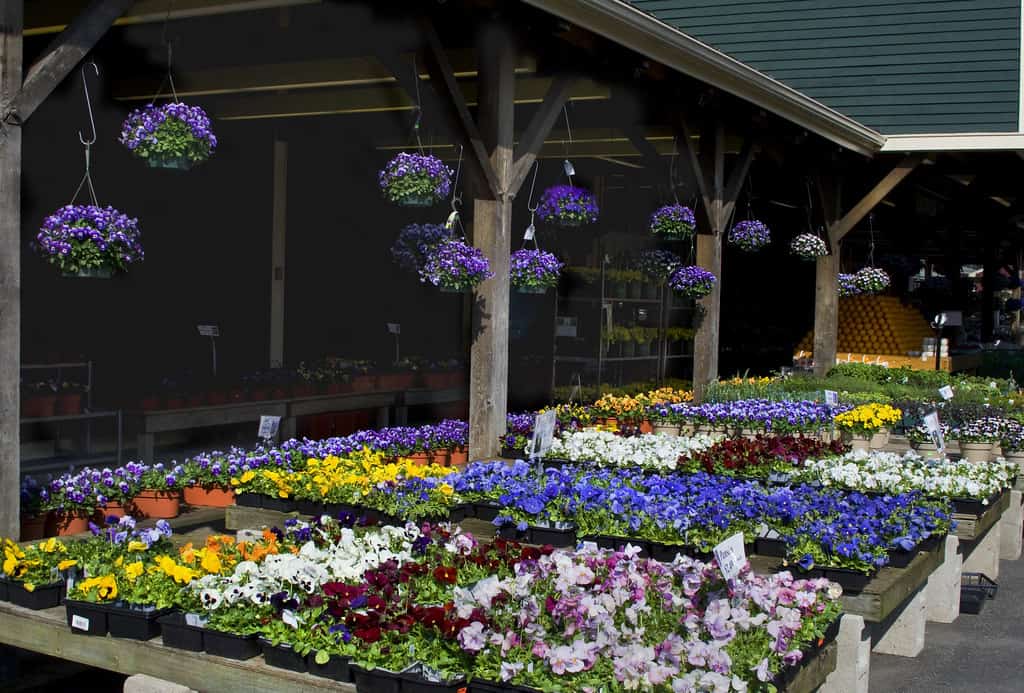 Idylwilde Farms