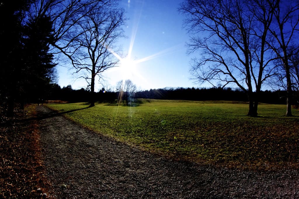 NRT’s Sheep Pasture