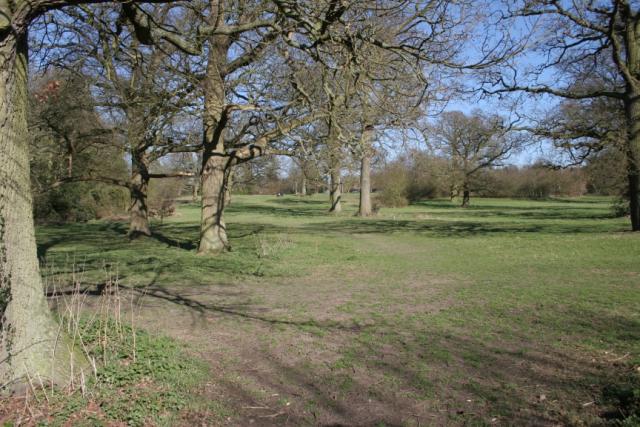 Pope's Meadow