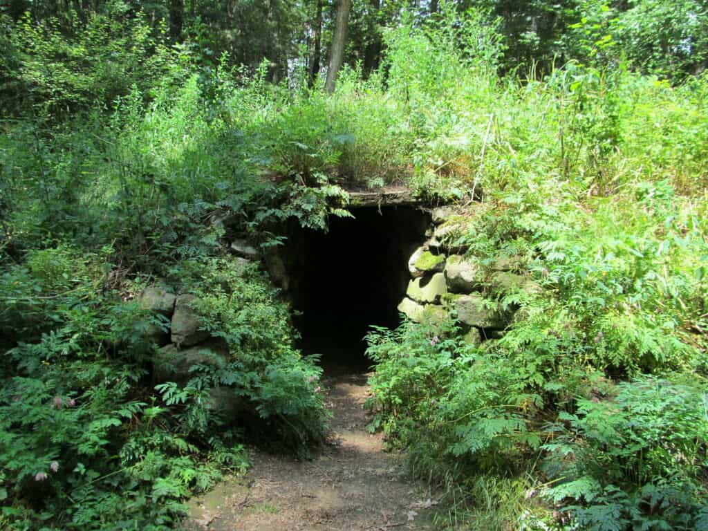 Nashoba Brook