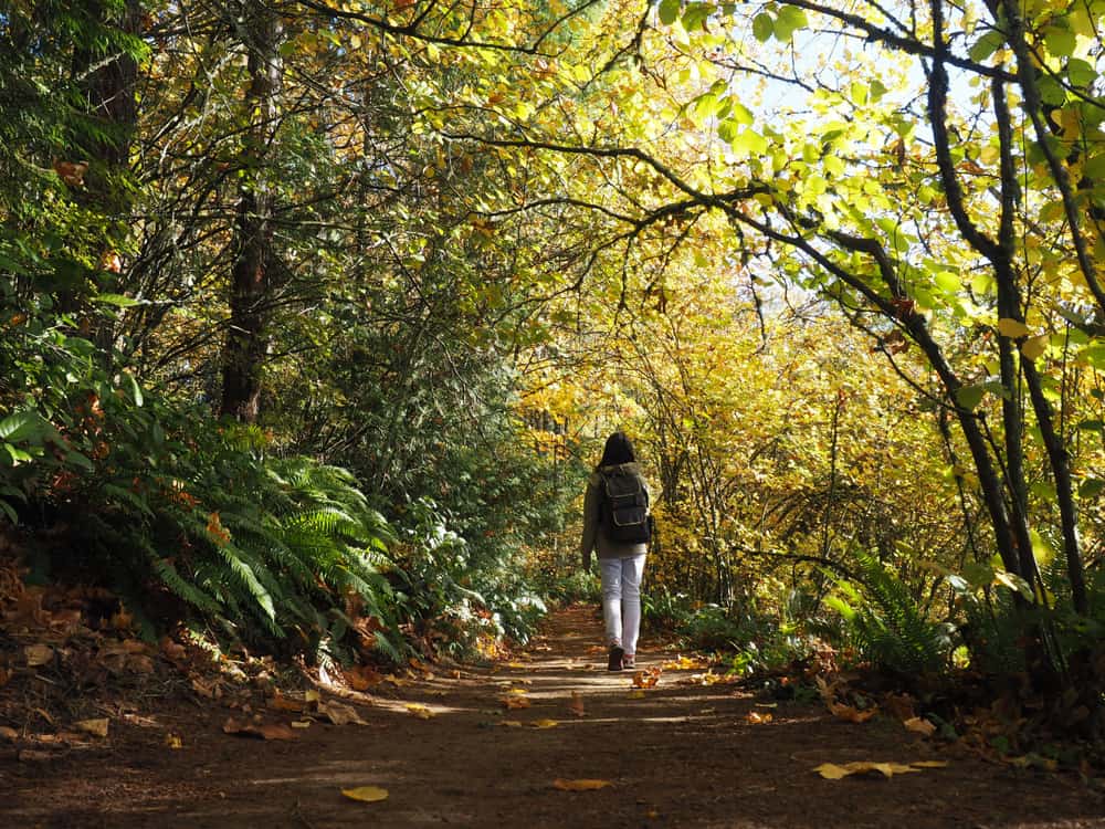 Hoyt Arboretum