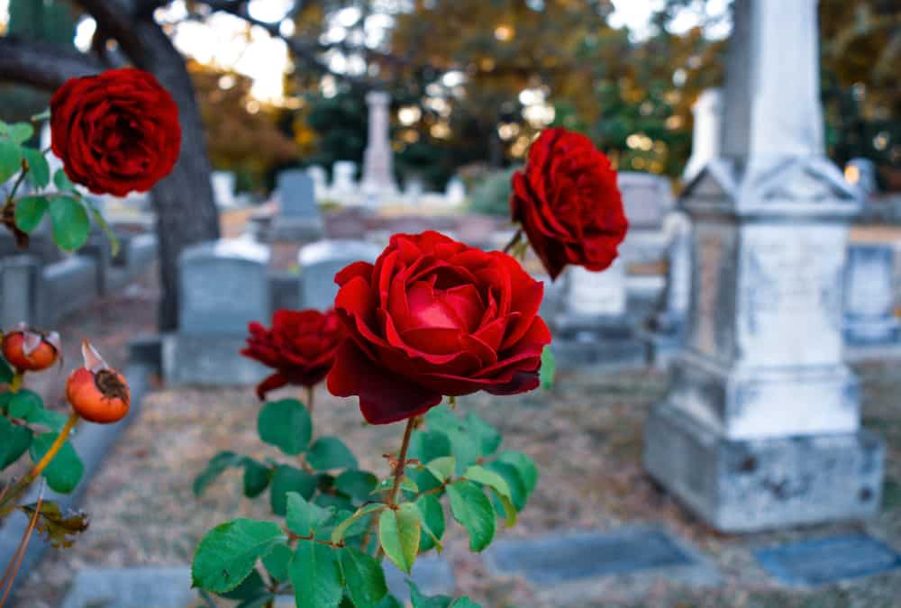 Sacramento Old City Cemetery