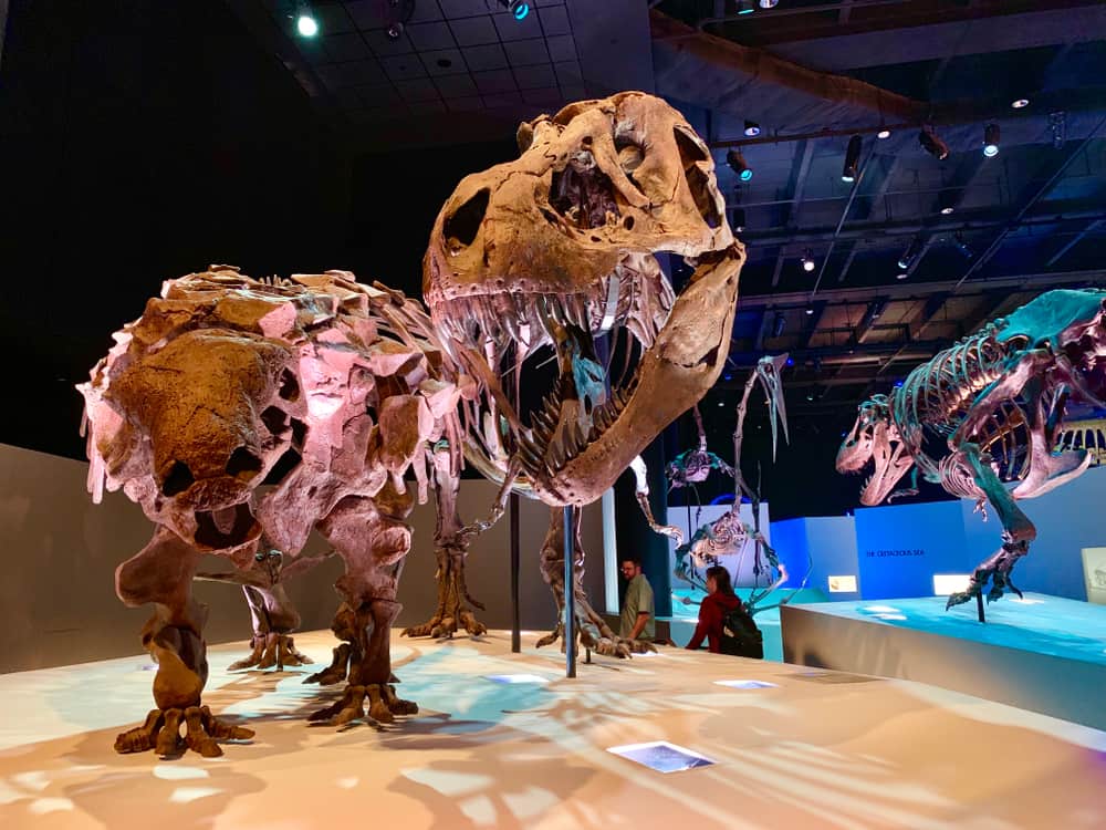 Houston Museum of Natural Science