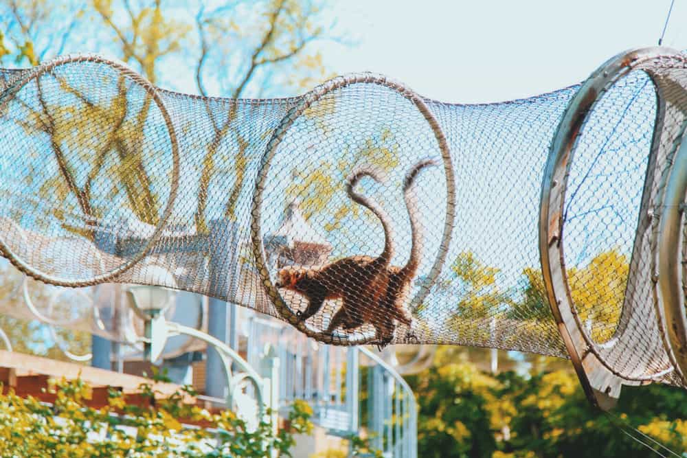 Philadelphia Zoo