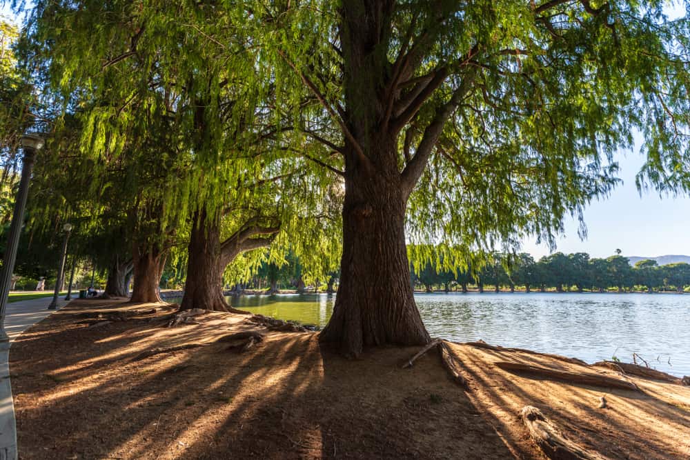 Fairmount Park, Riverside