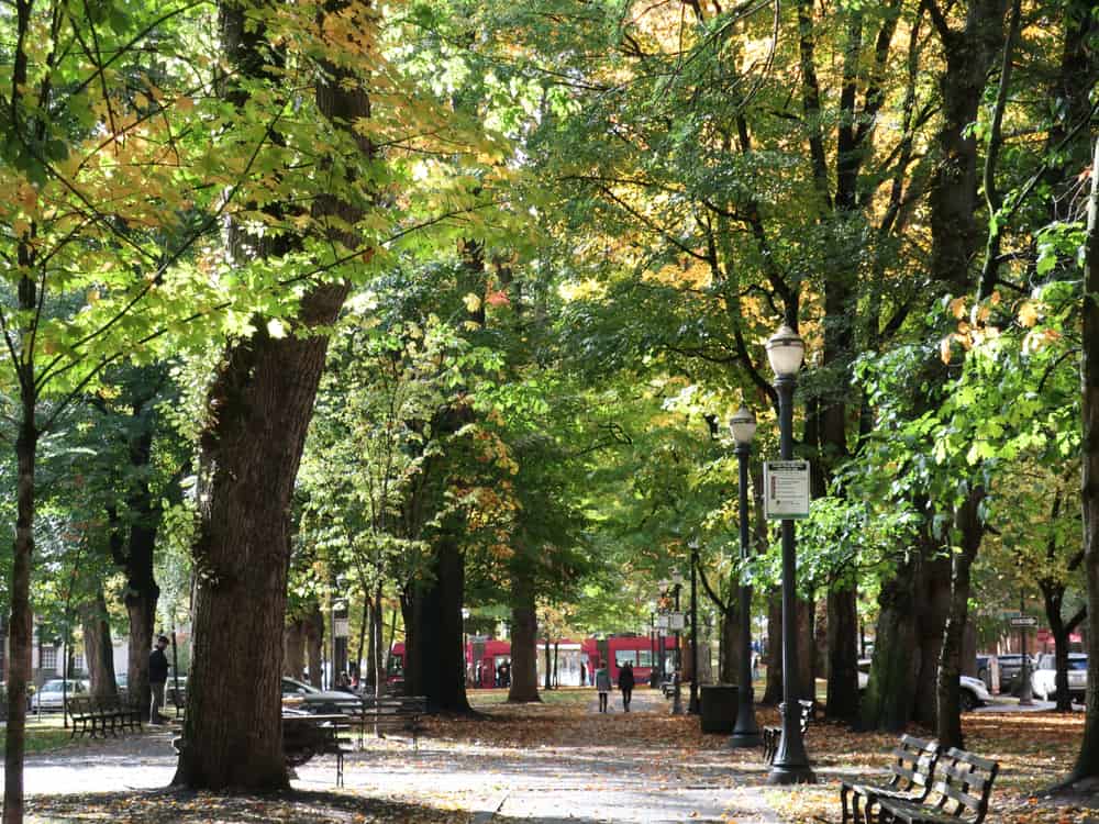 South Park Blocks