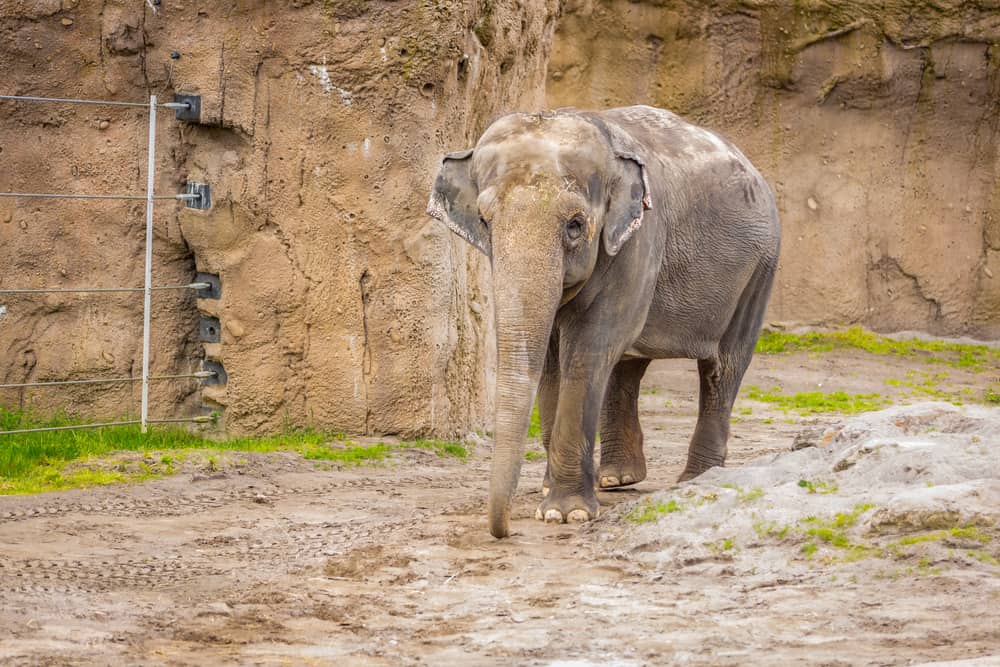 Oregon Zoo