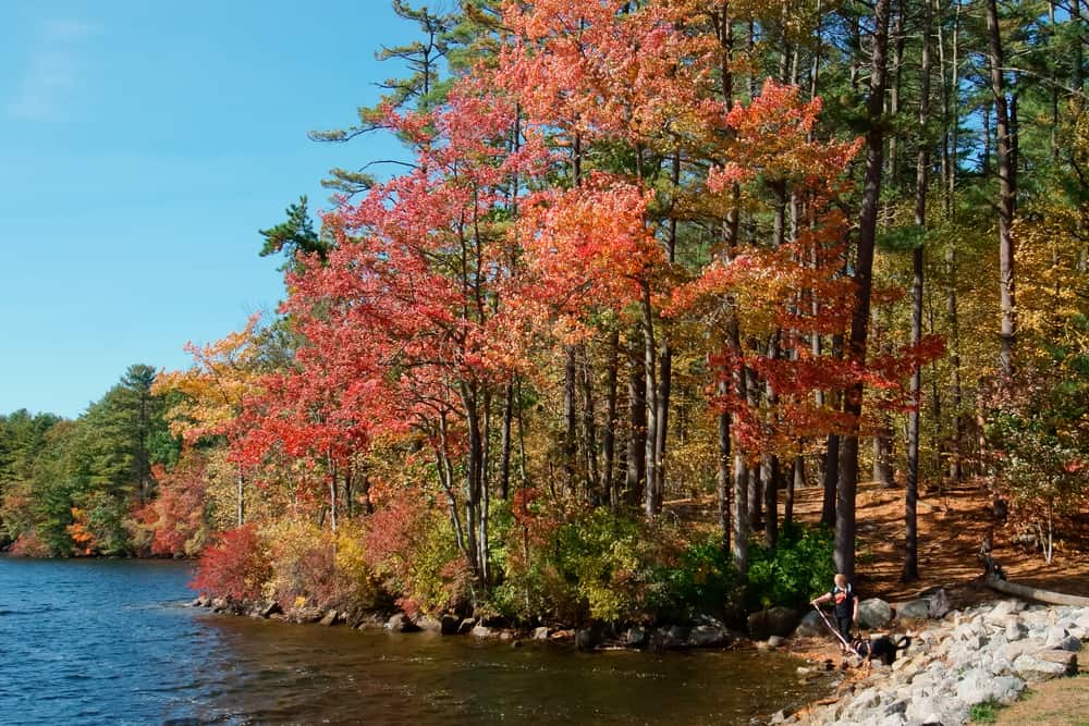 Whitehall State Park