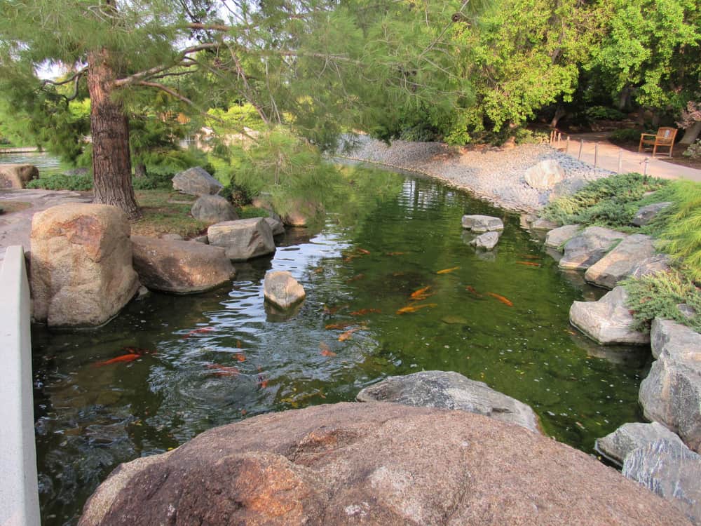 Phoenix Japanese Friendship Garden