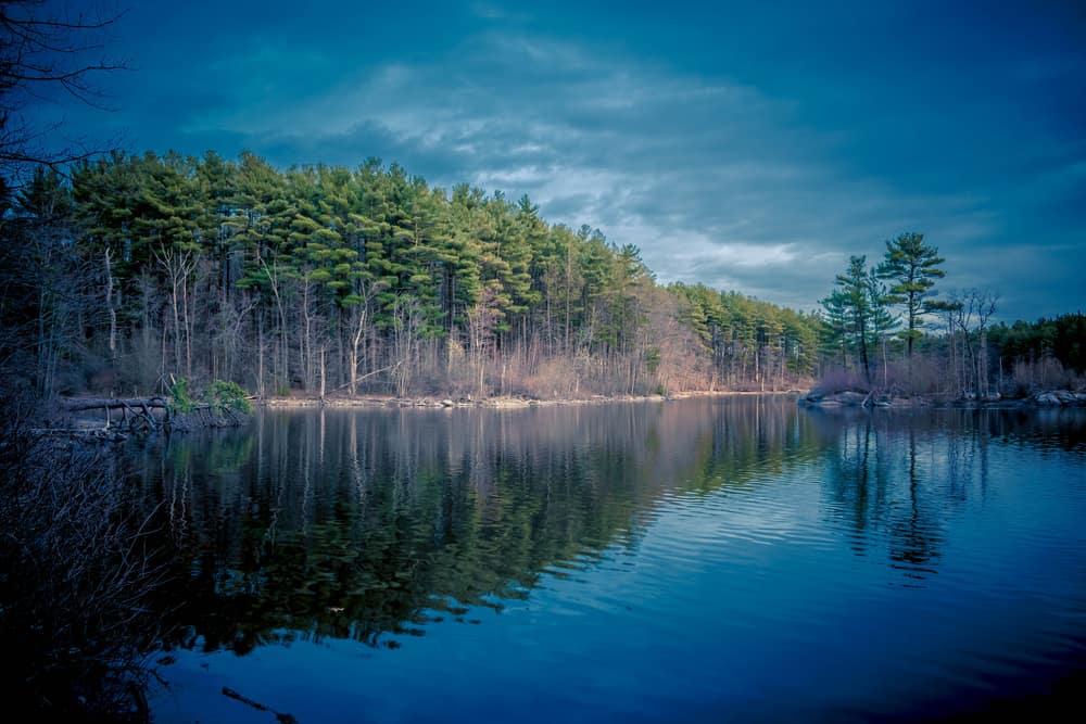 Middlesex Fells Reservation, Stoneham