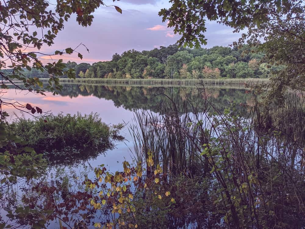 Cutler Park Reservation