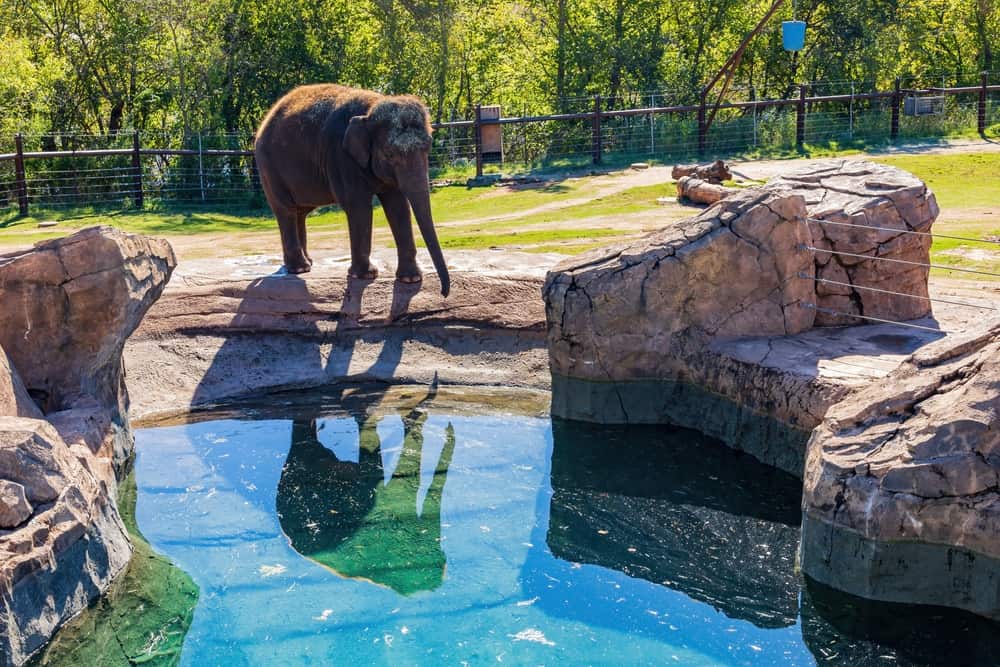 Oklahoma City Zoo And Botanical Garden