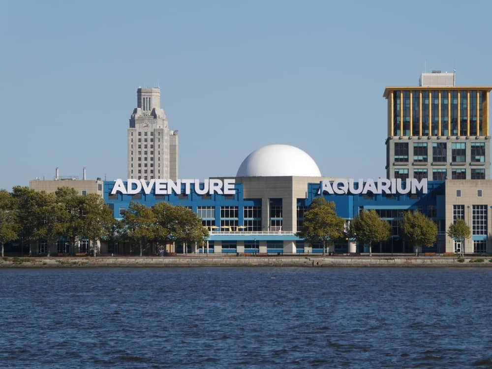 Adventure Aquarium