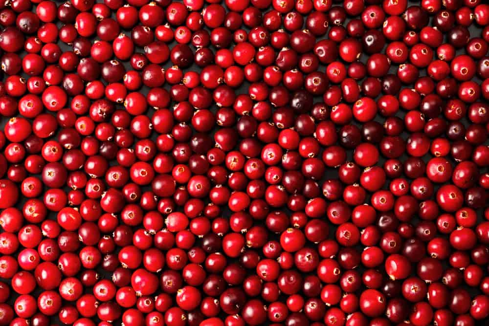 Cranberry