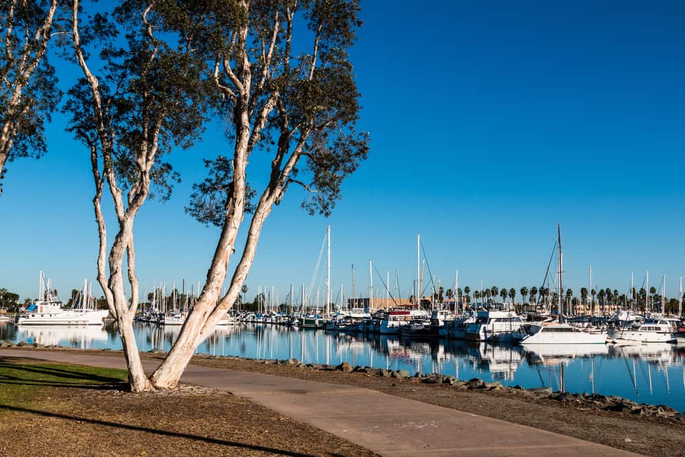 Chula Vista Marina