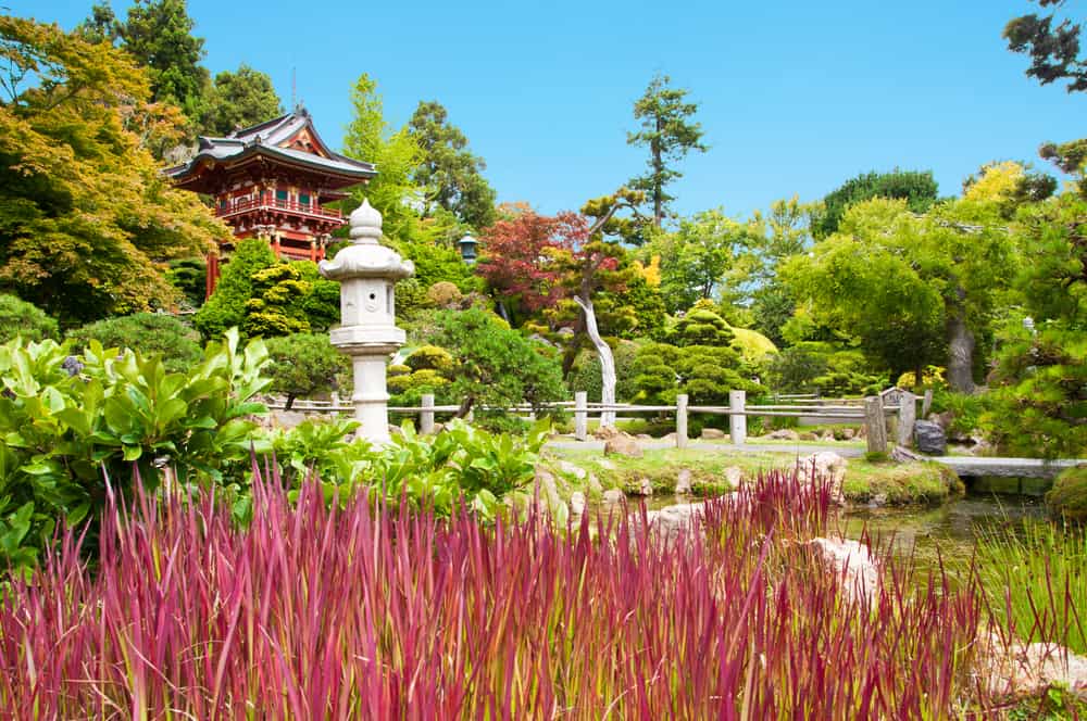 San Francisco's Japanese Tea Garden