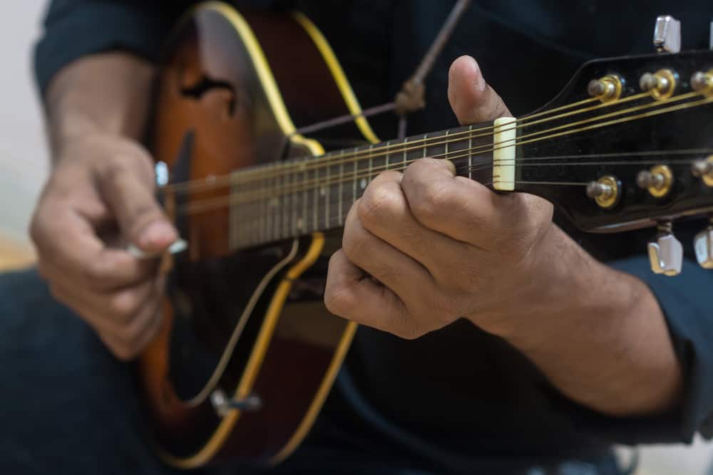 Bluegrass