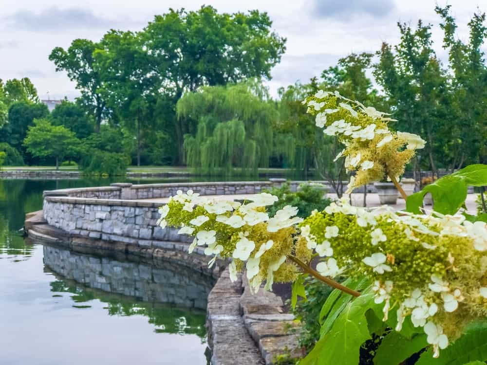 Centennial Park, Nashville