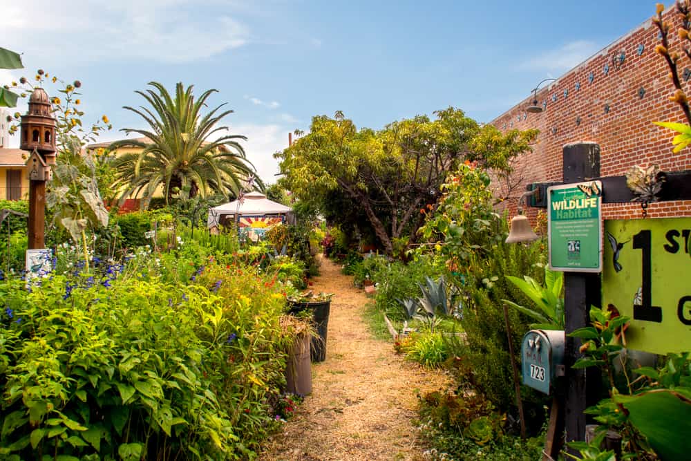 Wildlife Habitat in Long Beach East Village