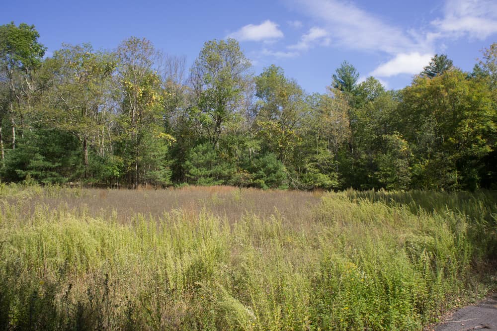 Wompatuck State Park