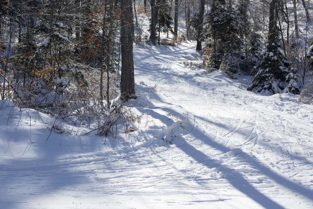 Windblown Cross Country Ski Area