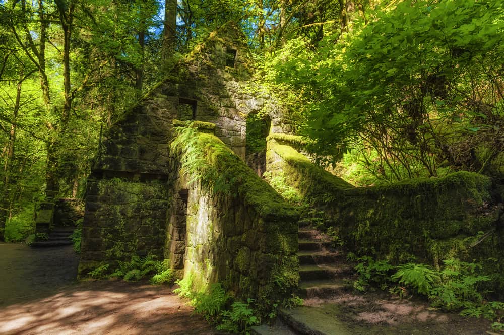 Forest Park near Portland