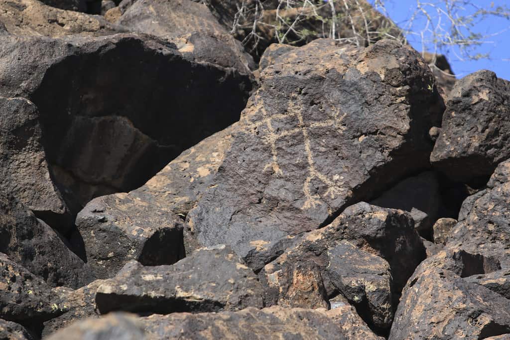 Deer Valley Petroglyph Preserve