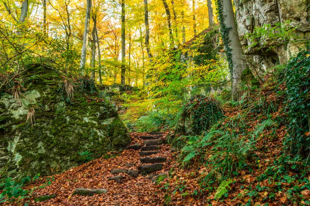 Ardennes, Luxembourg