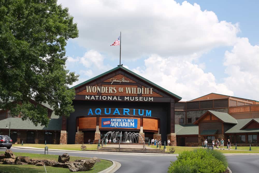 Wonders Of Wildlife Museum And Aquarium