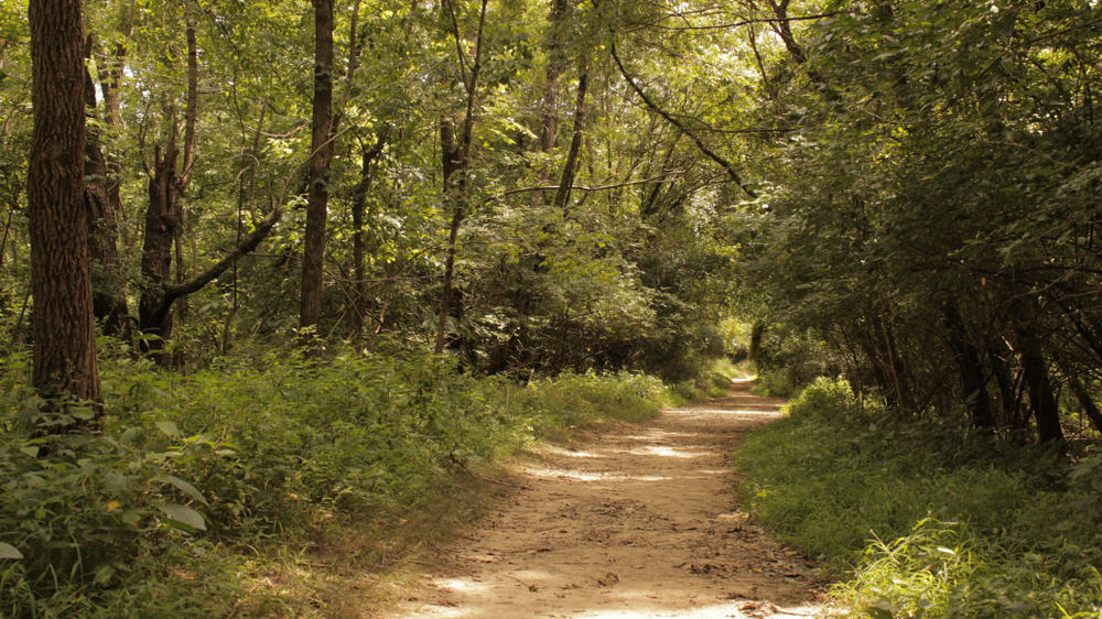 E.P Tom Sawyer State Park