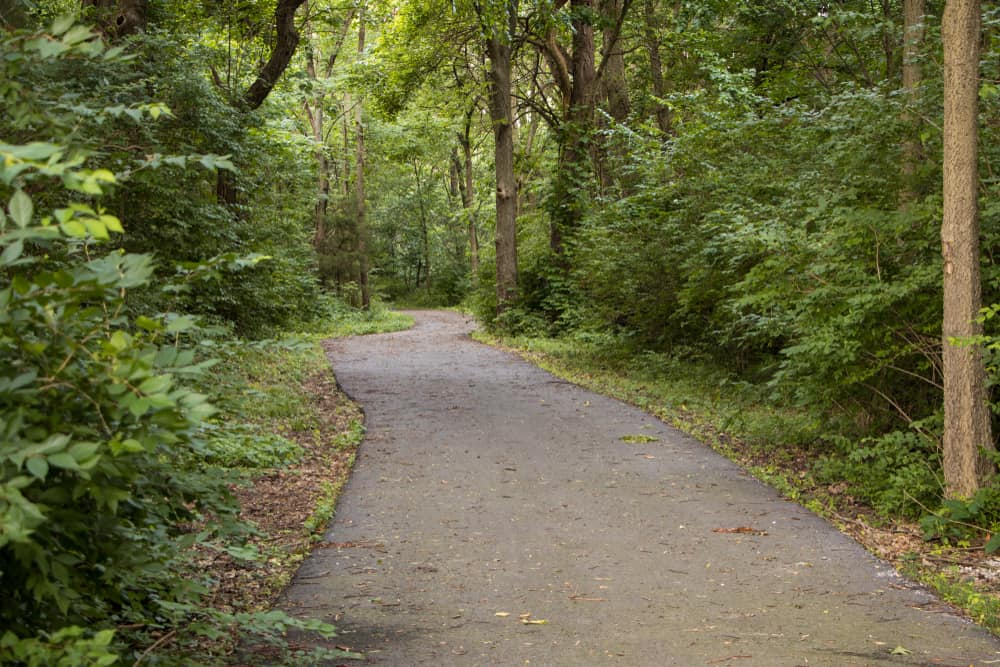 Frisco Highline Trail