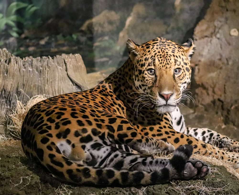 Milwaukee County Zoo