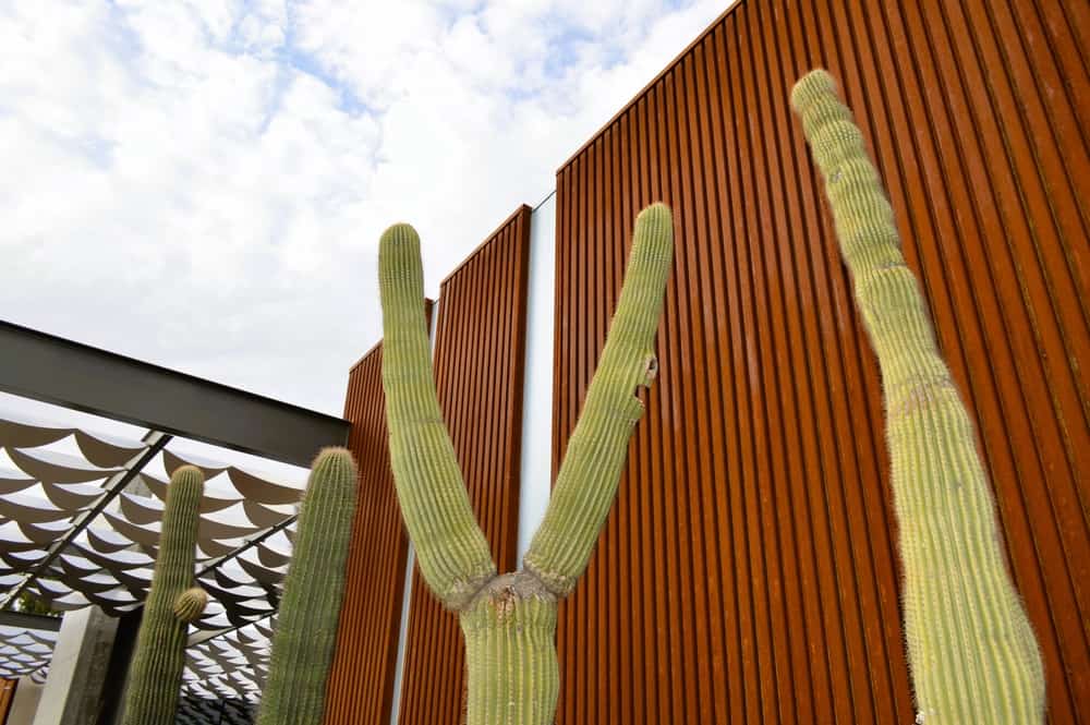 Chandler Museum Exterior