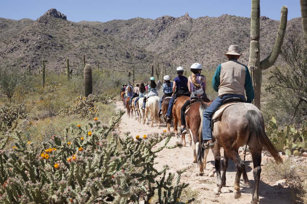 Horseback Riding in the Sonoran Desert