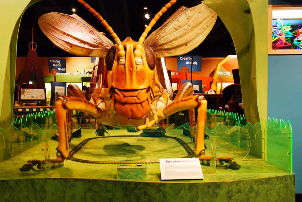 Boston Museum of Science
